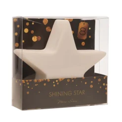 Hot Shining Star Micro LED Akkuleuchte Weihnachtsbeleuchtung|Tischleuchten