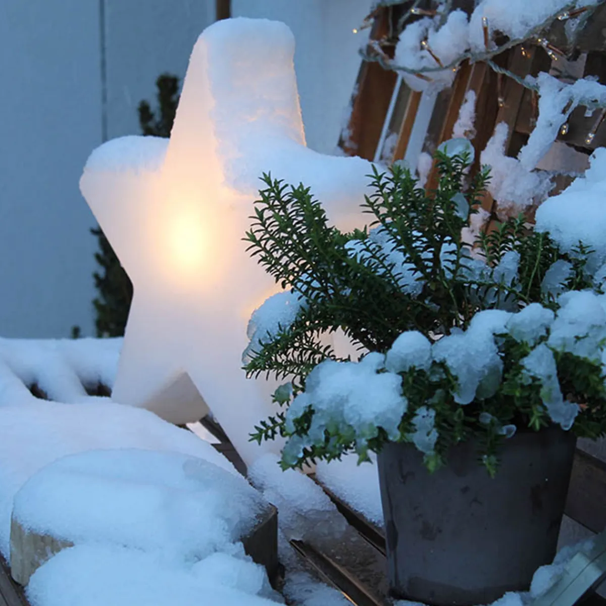 Discount Shining Star Dekoleuchte, Höhe: 37 cm Weihnachtsbeleuchtung|Terrassen