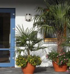 69618 Außenwandleuchte Terrassen|Hauseingänge