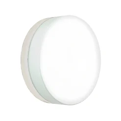 Discount 6308 LED Wand- / Deckenleuchte B, Ø: 25 cm Carports/Garagen|Wandleuchten