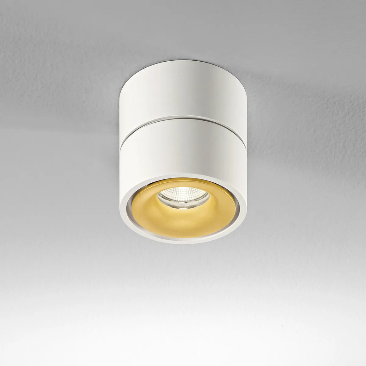 Discount Clippo LED Wand- / Deckenstrahler Shopbeleuchtung|Museen/Showrooms