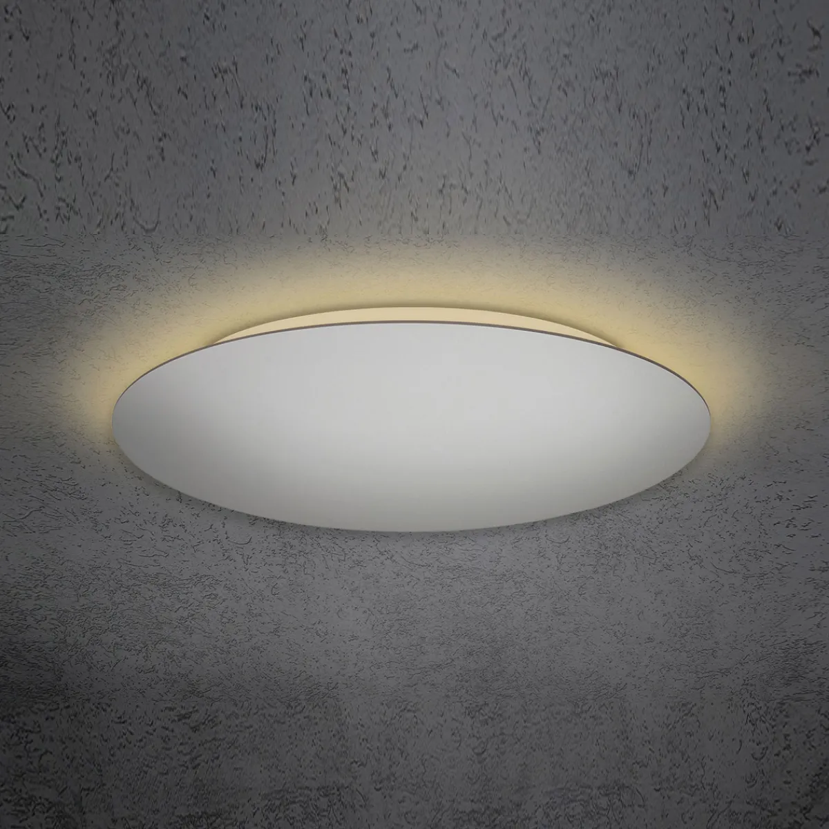 Hot Blade LED Wand- / Deckenleuchte, Ø: 79 cm, mit Casambi-Modul Deckenleuchten|Wandleuchten