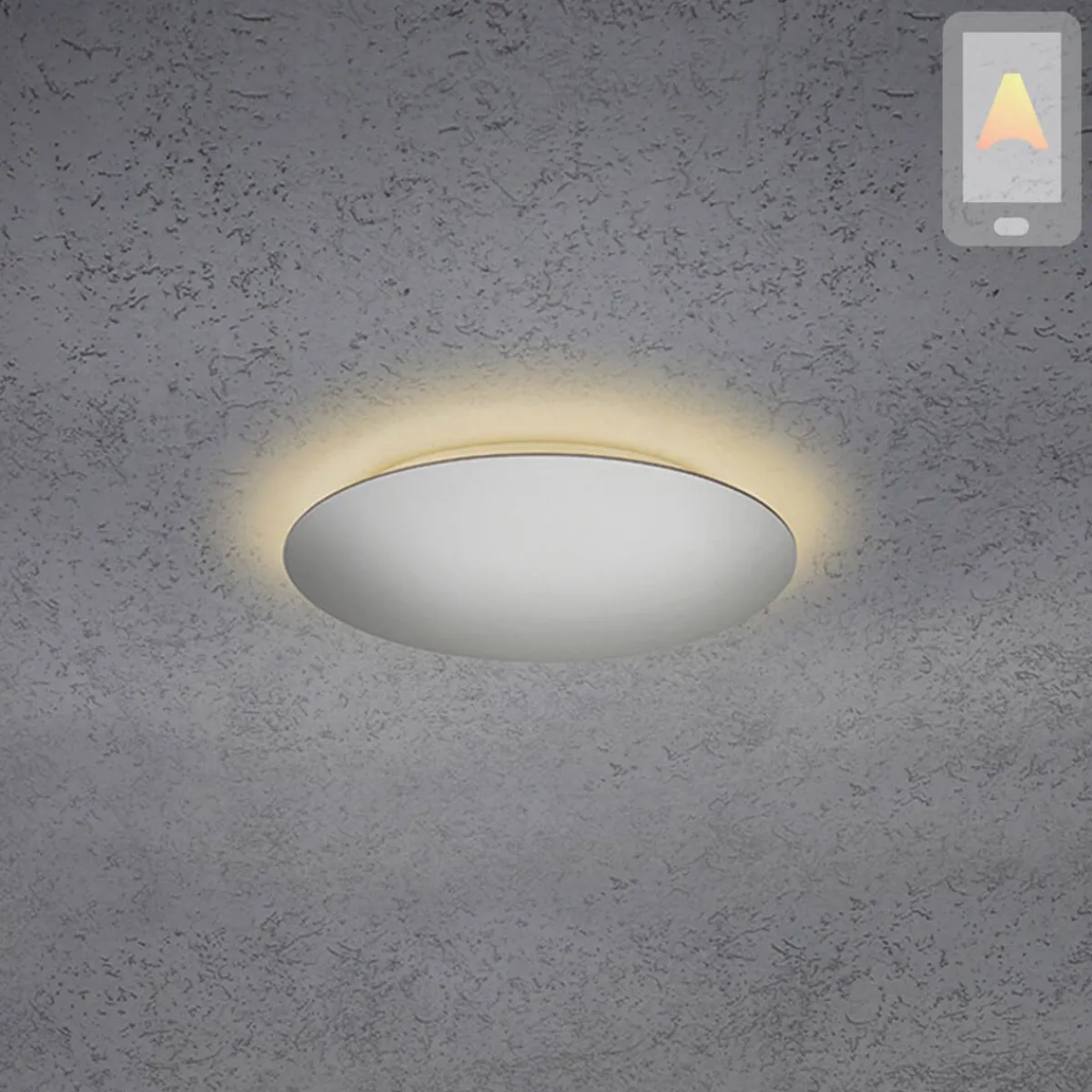 Hot Blade LED Wand- / Deckenleuchte, Ø: 34 cm, mit Casambi-Modul Wandleuchten|Deckenleuchten