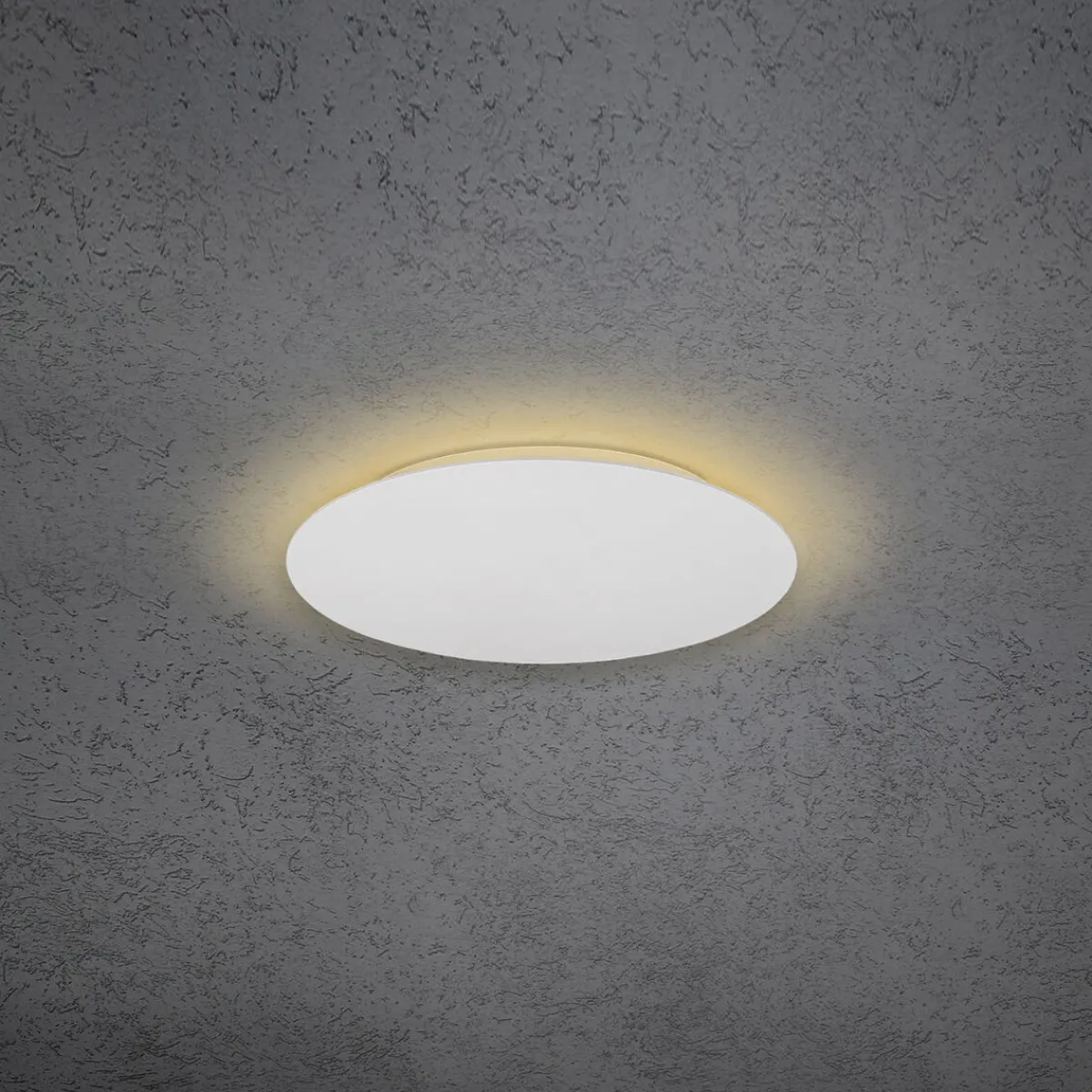 Hot Blade LED Wand- / Deckenleuchte, Ø: 34 cm, mit Casambi-Modul Wandleuchten|Deckenleuchten