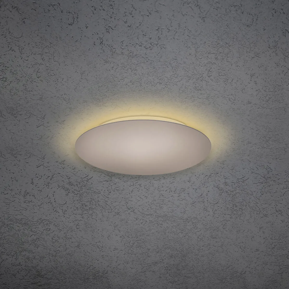 Hot Blade LED Wand- / Deckenleuchte, Ø: 34 cm, mit Casambi-Modul Wandleuchten|Deckenleuchten