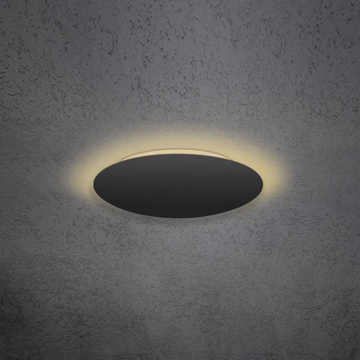 Hot Blade LED Wand- / Deckenleuchte, Ø: 34 cm, mit Casambi-Modul Wandleuchten|Deckenleuchten