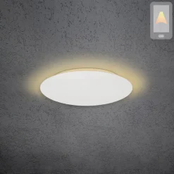 Online Blade LED Wand- / Deckenleuchte, Ø: 44 cm, mit Casambi-Modul Wandleuchten|Deckenleuchten