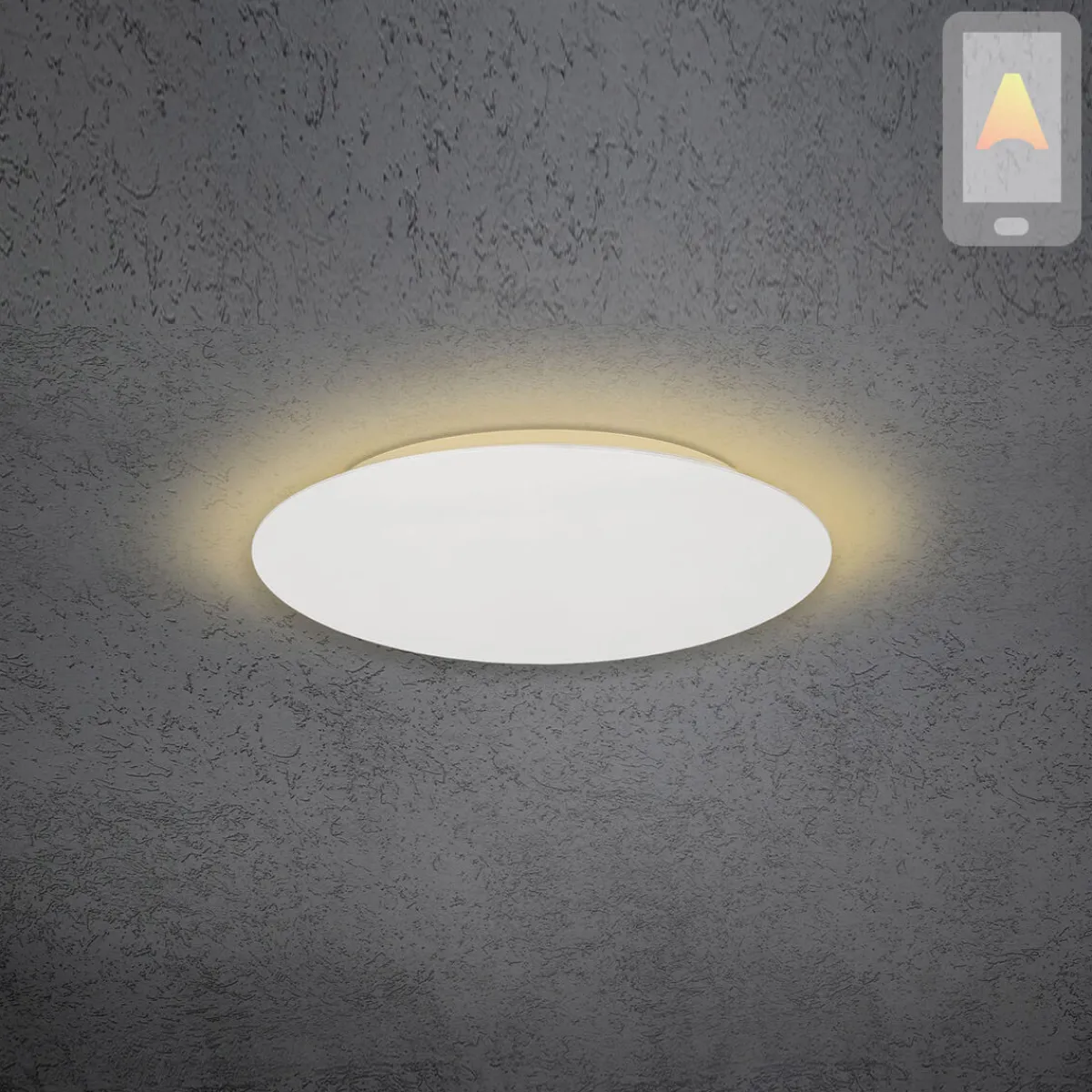 Online Blade LED Wand- / Deckenleuchte, Ø: 44 cm, mit Casambi-Modul Wandleuchten|Deckenleuchten