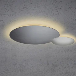 Outlet Blade LED Wand- / Deckenleuchte, 2-flg., Ø 44 cm, anthrazit Wandleuchten|Deckenleuchten