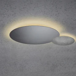 Outlet Blade LED Wand- / Deckenleuchte, 2-flg., Ø 44 cm, anthrazit Wandleuchten|Deckenleuchten