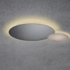 Outlet Blade LED Wand- / Deckenleuchte, 2-flg., Ø 44 cm, anthrazit Wandleuchten|Deckenleuchten