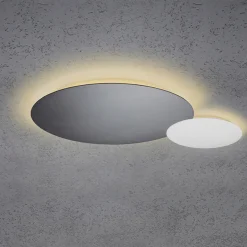 Outlet Blade LED Wand- / Deckenleuchte, 2-flg., Ø 44 cm, anthrazit Wandleuchten|Deckenleuchten