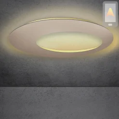 Discount Blade Open LED Wand- / Deckenleuchte, Ø: 95 cm, mit Casambi-Modul Wandleuchten|Deckenleuchten