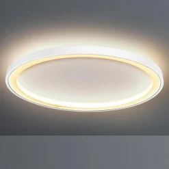 New Loud LED Wand- / Deckenleuchte, Ø: 50 cm, mit Casambi-Modul Wandleuchten|Deckenleuchten