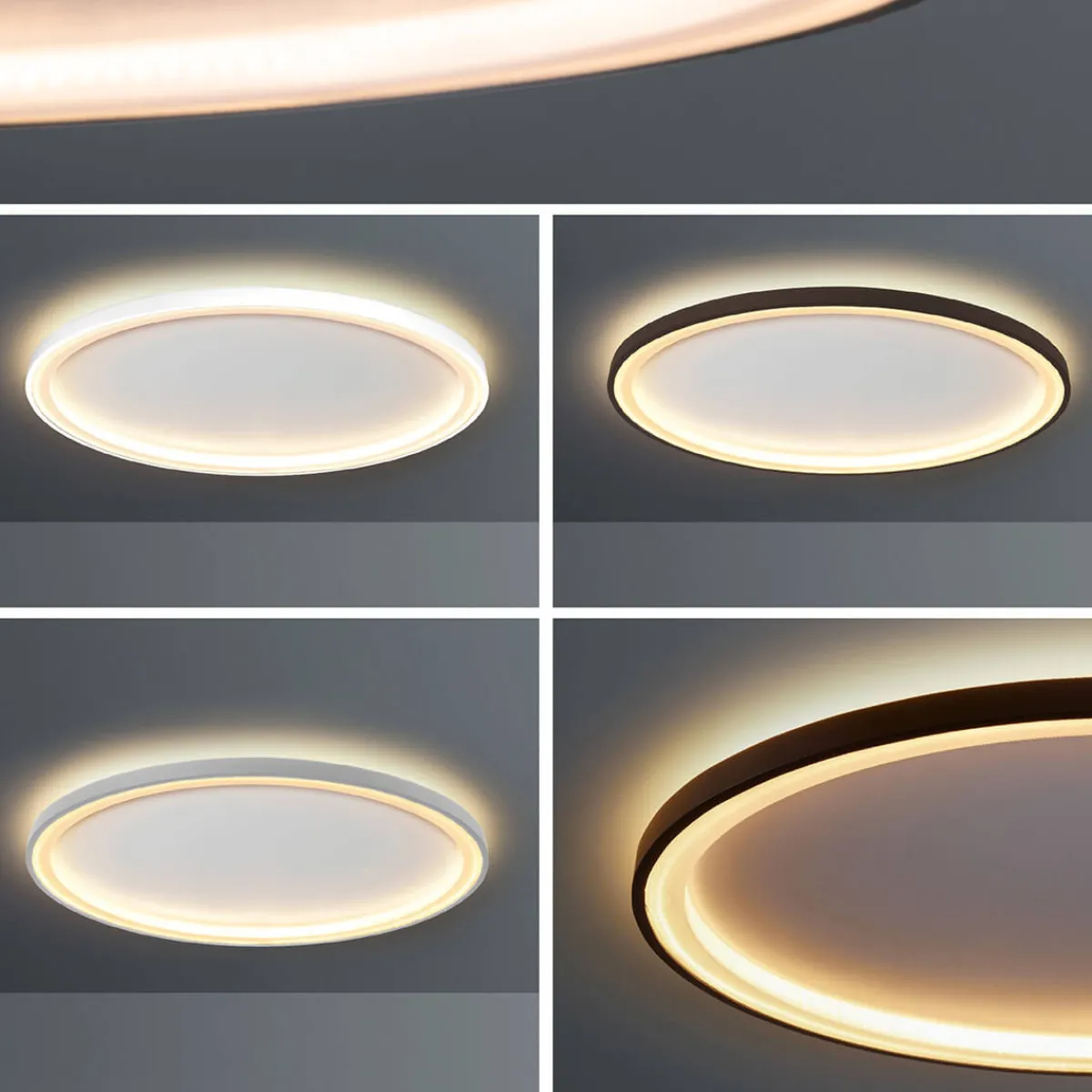 New Loud LED Wand- / Deckenleuchte, Ø: 50 cm, mit Casambi-Modul Wandleuchten|Deckenleuchten