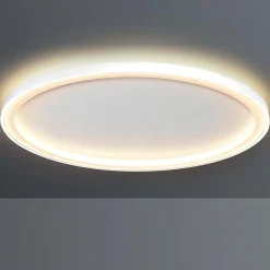 Best Loud LED Wand- / Deckenleuchte, Ø: 65 cm, mit Casambi-Modul Wandleuchten|Deckenleuchten