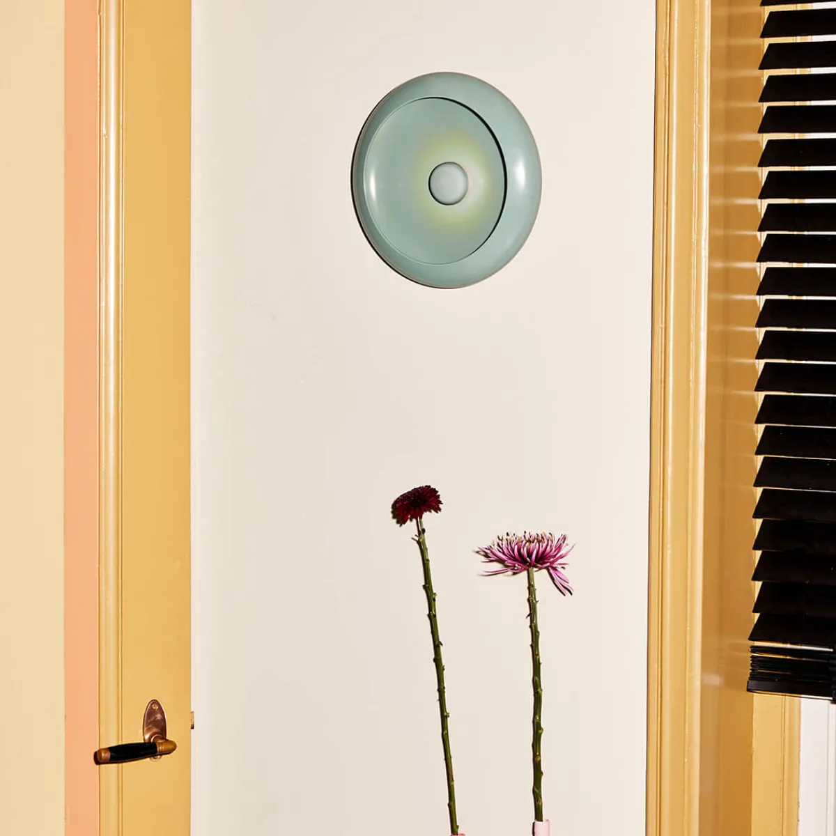 Clearance Oloha Medium LED Akkuleuchte & Schale Gadgets & Technik|Aufbewahrung