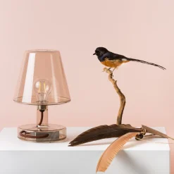 Online Transloetje LED Akkuleuchte, Duo Pack Kinder Kinderzimmer|Tischleuchten