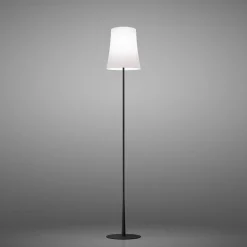 Sale Birdie Easy Lettura Terra Wohnzimmer|Schlafzimmer