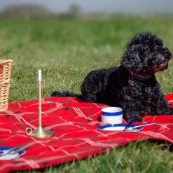 Outlet Wick LED Akkuleuchte, 3er Set Weihnachtsbeleuchtung|Gadgets & Technik