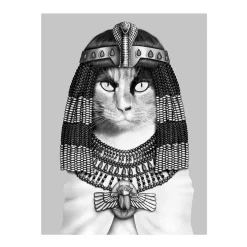 Discount Glasbild Digitaldruck Ägyptische Katze, 80 x 60 cm Bilder|Flur