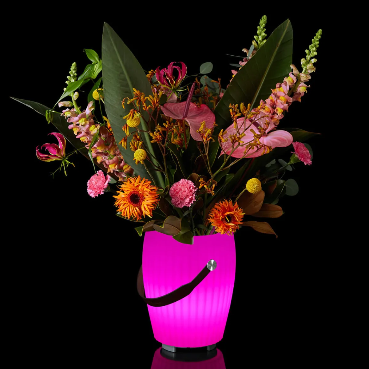 Best The Joouly Bowl M LED Akkuleuchte, Bluetooth Lautsprecher & Weinkühler Gadgets & Technik|Aufbewahrung