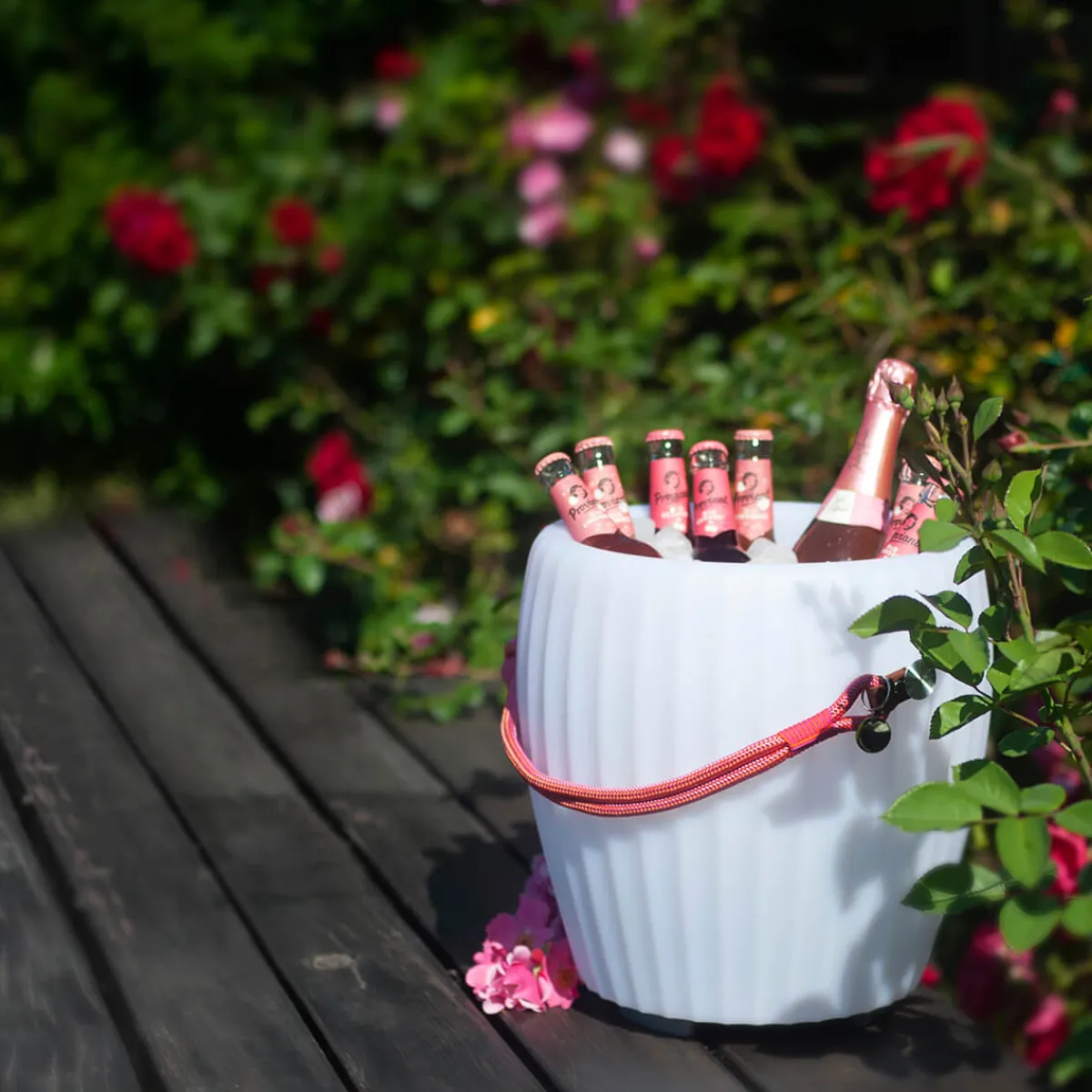 Clearance The Joouly Tauwerkgriff, pink / orange Leuchtenzubehör