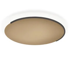 Online Astra-60 LED Wand- / Deckenleuchte Hotellerie|Wandleuchten