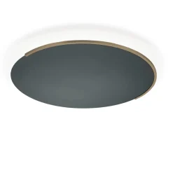 Online Astra-C-60 LED Wand- / Deckenleuchte, mit Casambi Wandleuchten|Deckenleuchten