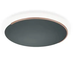 Online Astra-C-60 LED Wand- / Deckenleuchte, mit Casambi Wandleuchten|Deckenleuchten