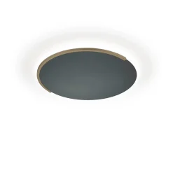 Outlet Astra-C-40 LED Wand- / Deckenleuchte, mit Casambi Wandleuchten|Deckenleuchten