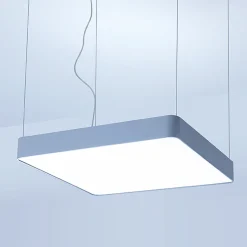 Caleo-P2 Pendelleuchte Pendelleuchten|Objektbeleuchtung