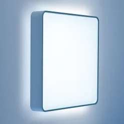 Caleo-X2 Wand- / Deckenleuchte, Mikroprismatik Wandleuchten|Deckenleuchten