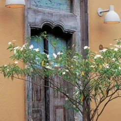 Hot Toldbod 155 Wandleuchte Wandleuchten