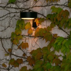 Online Plaff-on! A IP65 LED Wandleuchte Terrassen|Hauseingänge