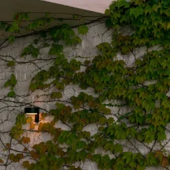 Online Plaff-on! A IP65 LED Wandleuchte Terrassen|Hauseingänge