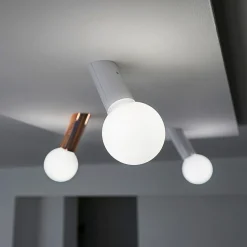 New DNA Easy Wand- / Deckenleuchte Wandleuchten|Deckenleuchten