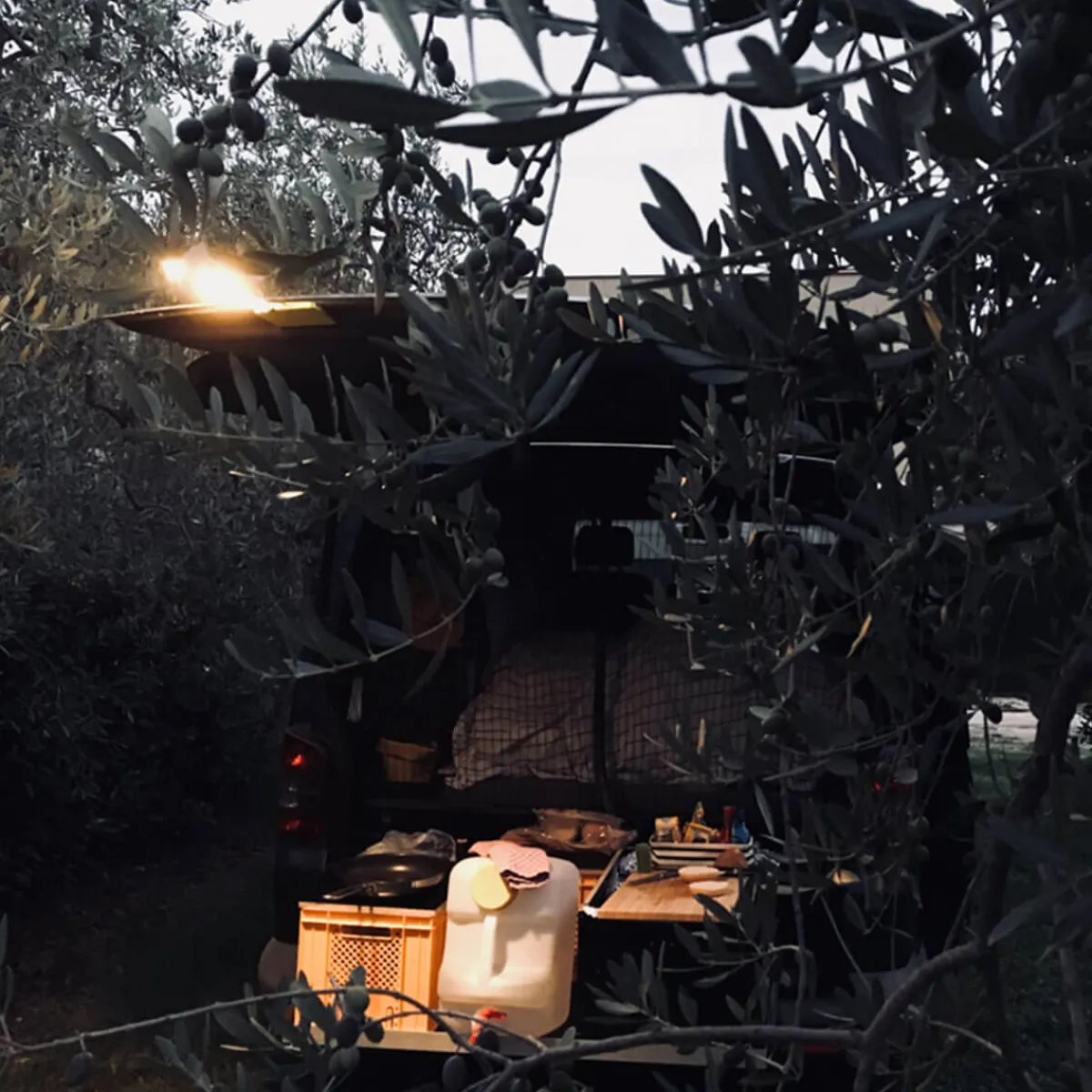 Outlet Roxxane Fly CL LED Akkuleuchte Wohnzimmer|Schlafzimmer