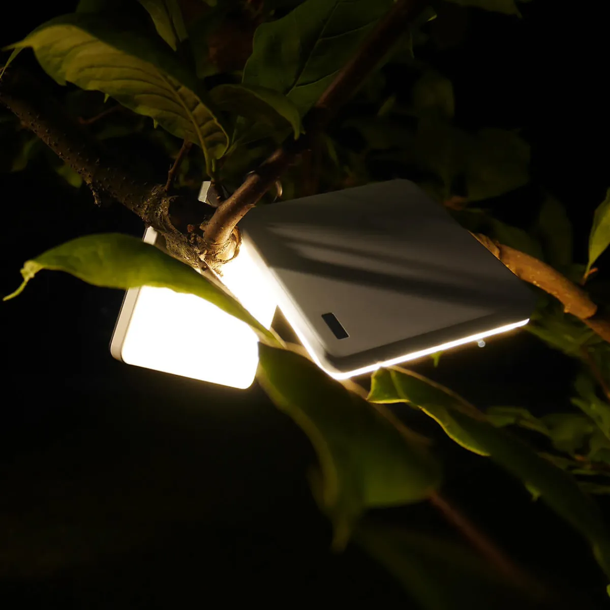 Outlet Roxxane Fly CL LED Akkuleuchte Wohnzimmer|Schlafzimmer