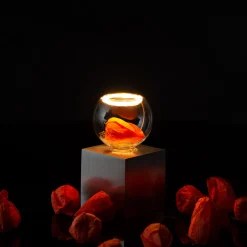 Discount Cubic Tischleuchte mit LED Floating Globe 80 klar Dekoration|Tischleuchten