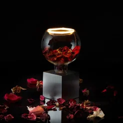 Outlet LED Floating Globe 125 klar E27, 4,5 W, 2200 K, dimmbar E27|Dekorative Leuchtmittel