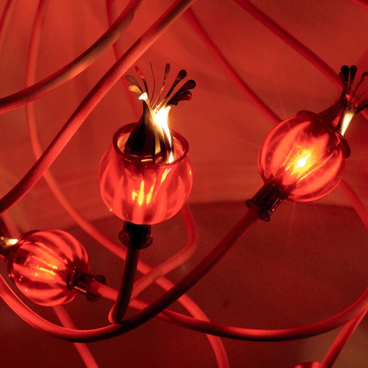 Clearance Poppy Wall / Ceiling 5 Wand- / Deckenleuchte Wandleuchten|Deckenleuchten