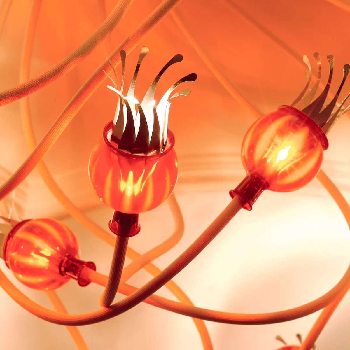 Clearance Poppy Wall / Ceiling 5 Wand- / Deckenleuchte Wandleuchten|Deckenleuchten