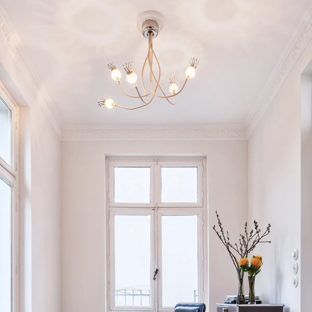 Clearance Poppy Wall / Ceiling 5 Wand- / Deckenleuchte Wandleuchten|Deckenleuchten