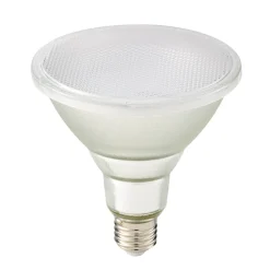 Outlet LED Reflektorlampe Luxar Glas PAR38 Outdoor IP65 E27, 15,2 W, 2700 K, dimmbar Led-Lampen|E27