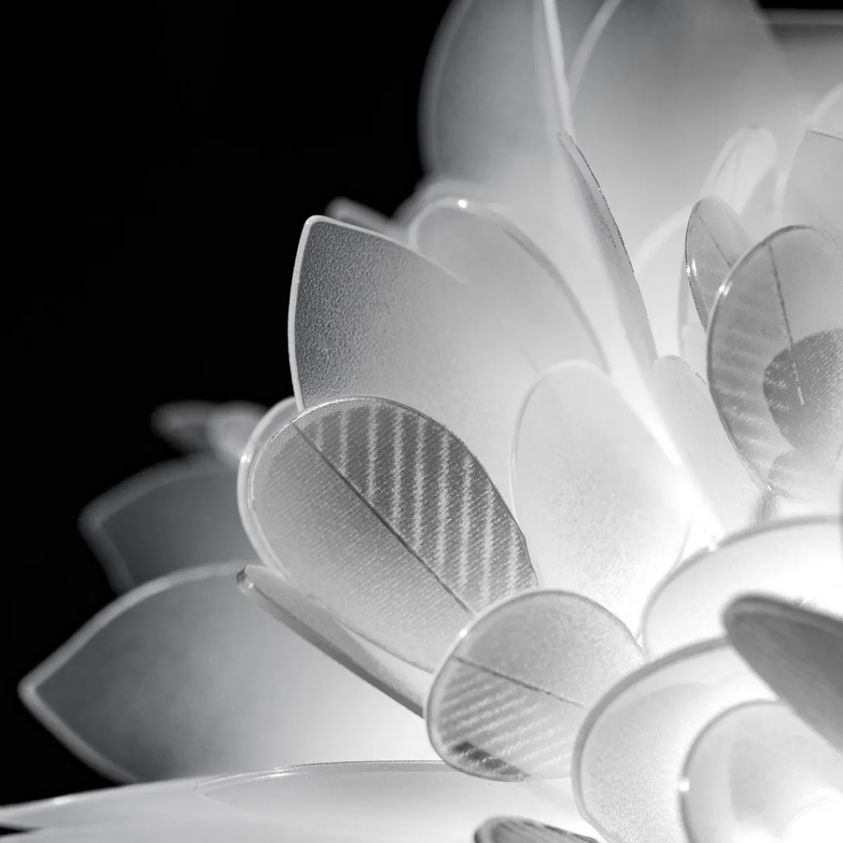 Veli Foliage Ceiling / Wall Medium Wohnzimmer|Schlafzimmer