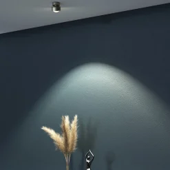 Online Puk Mini Move LED Deckenleuchte, Gehäuse Museen/Showrooms|Wohnzimmer