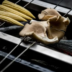 Online Yakitori Grillspieße, 20 Stück Steak & Bbq Tools|Grills & Pizzaöfen