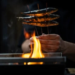 Online Yakitori Grillspieße, 20 Stück Steak & Bbq Tools|Grills & Pizzaöfen