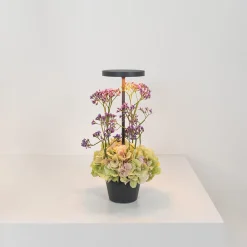 Hot Poldina Reverso Pro LED Akkuleuchte Gadgets & Technik|Aufbewahrung